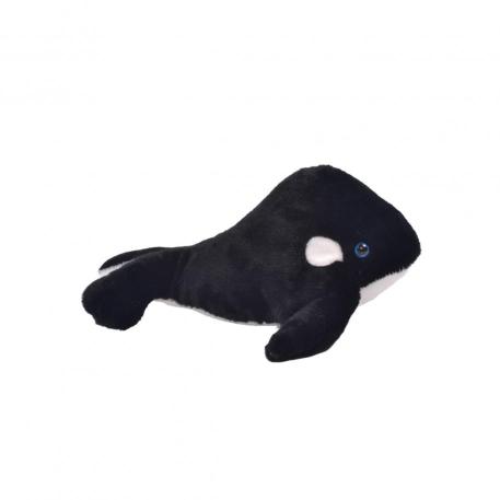 ORCA 19 CMS
