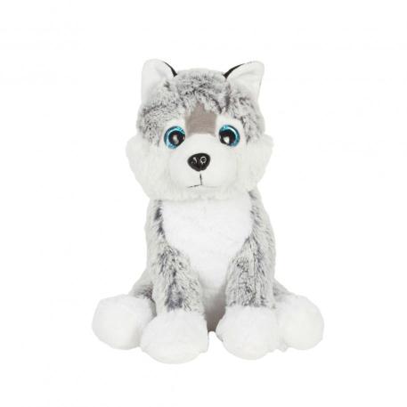 HASKY 20 CMS